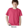 Gildan Youth DryBlend T-shirt